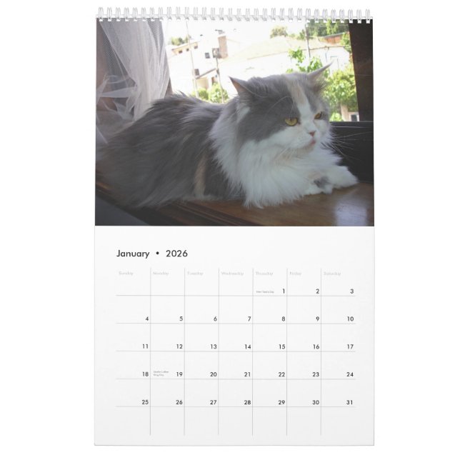 Kalender mit den Katzen - besonders angefertigt (Jan 2026)