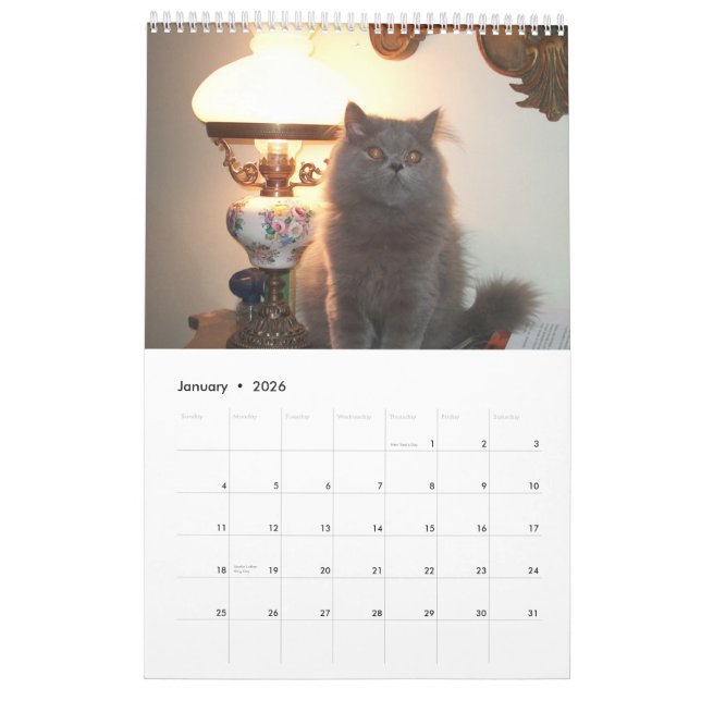 Kalender mit den Katzen - besonders angefertigt (Jan 2026)