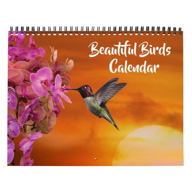 Kalender mit mittelgroßen schönen Vögeln (Titelbild)