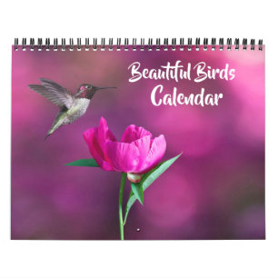 Kalender mit mittelgroßen schönen Vögeln