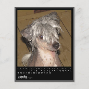 Kalender November 2012