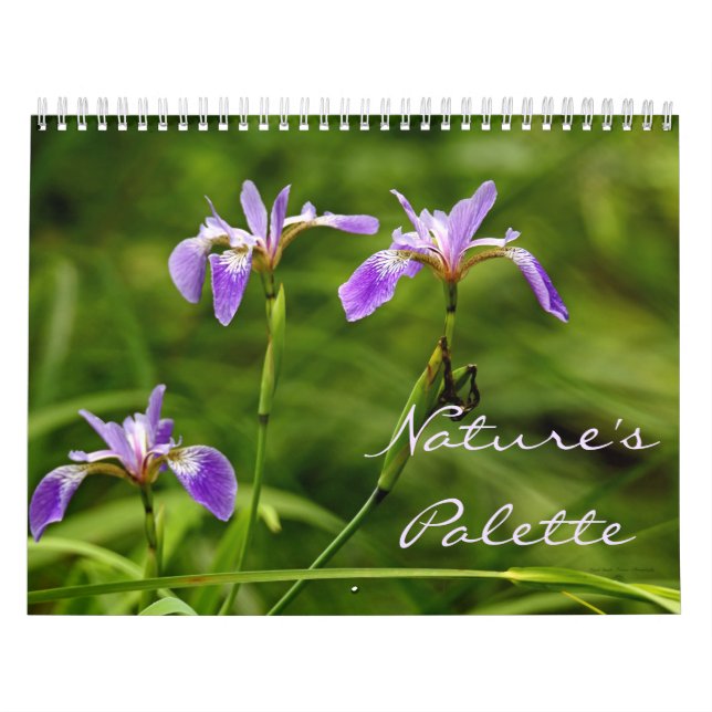 Kalender - Palette der Natur (Titelbild)