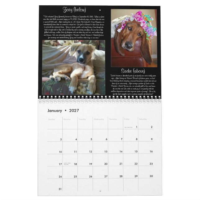 Kalender Pawfect Match-2013 (Jan 2027)