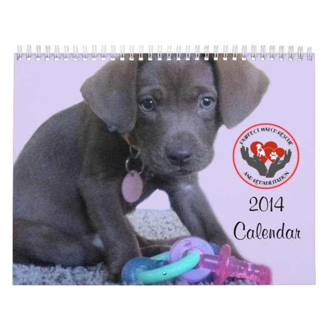 Kalender Pawfect Match-2014 (Titelbild)