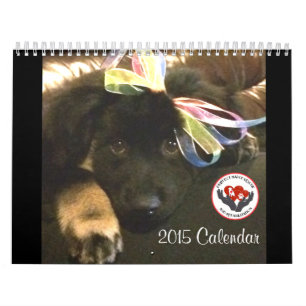 Kalender Pawfect Match-2015