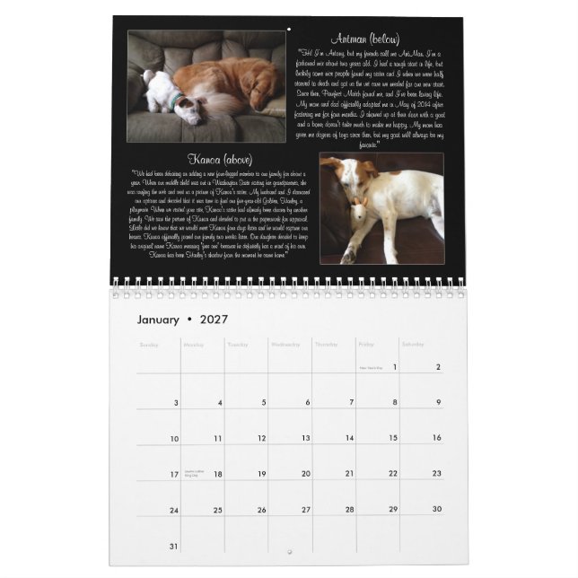 Kalender Pawfect Match-2015 (Jan 2027)