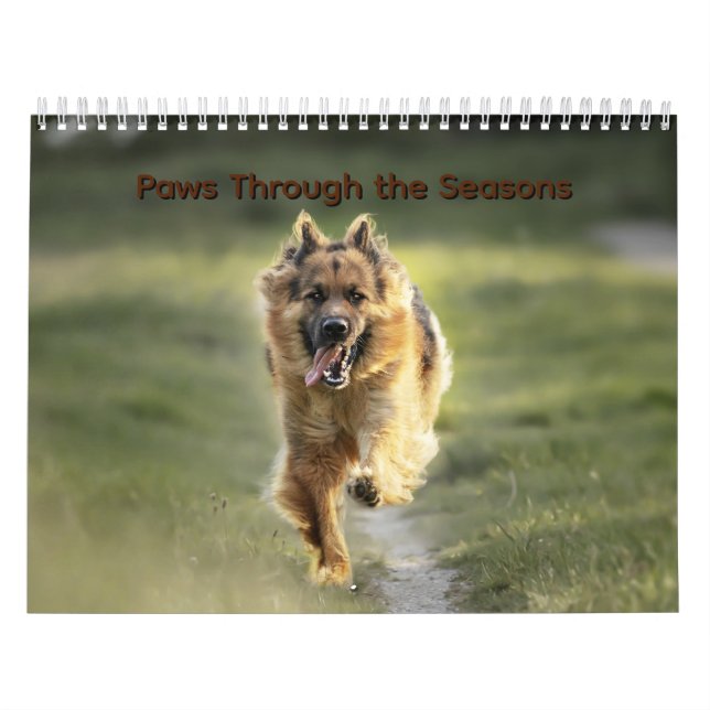 Kalender 'Paws Through the Seasons' (Titelbild)