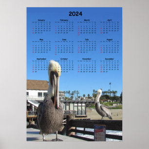 Kalender - Pelikane am Pier 2024 Poster