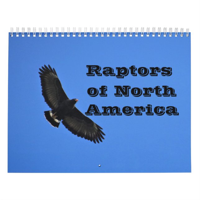 Kalender - Raptoren (Greifvögel) von Nordamerika (Titelbild)
