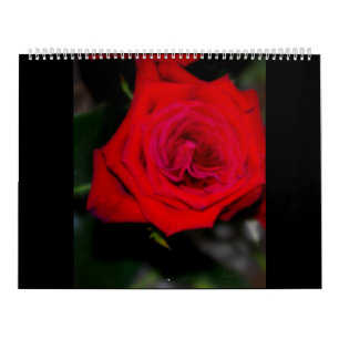 Kalender ROSEN