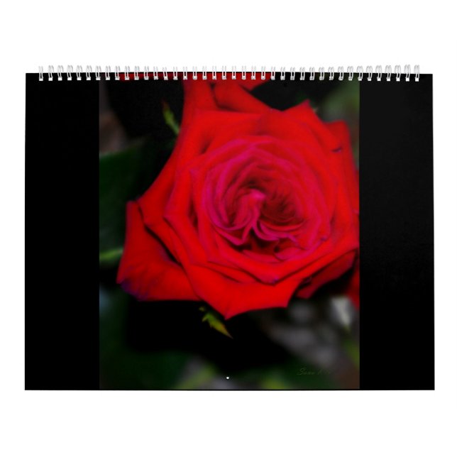 Kalender ROSEN (Titelbild)