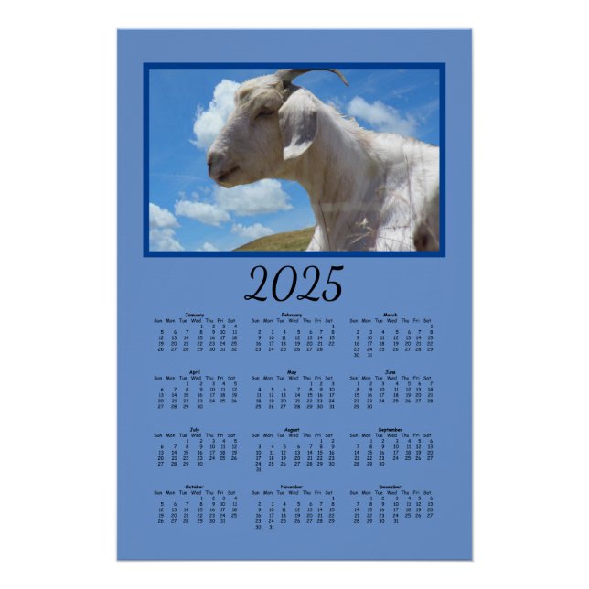 Kalender - Schafe auf Hügeln Poster (Vorderseite)