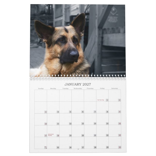 Kalender - Schäferhund (Jan 2027)