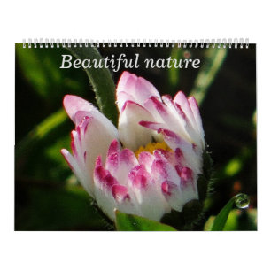 Kalender Schöne Natur