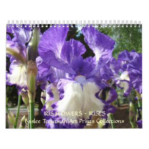 KALENDER Schwertlilien Kalender Iris Blumen