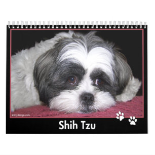 Kalender Shih Tzu