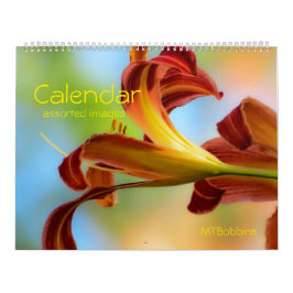 Kalender - sortierte Bilder - mit großen Zahlen