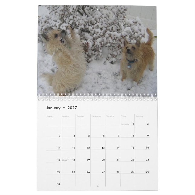 Kalender Steinhaufen-Terriers 2010 (Jan 2027)