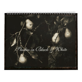 Kalender ~ Studien in Schwarz und Weiß