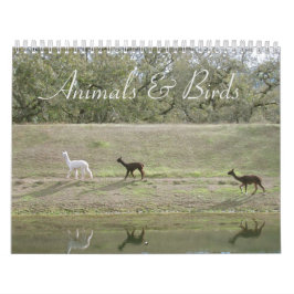 Kalender - Tiere und Vögel