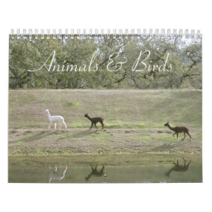 Kalender - Tiere und Vögel