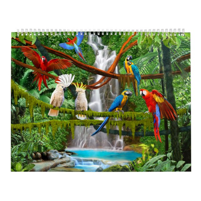 KALENDER-VÖGEL #1 KALENDER (Titelbild)