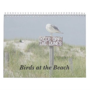 Kalender - Vögel am Strand