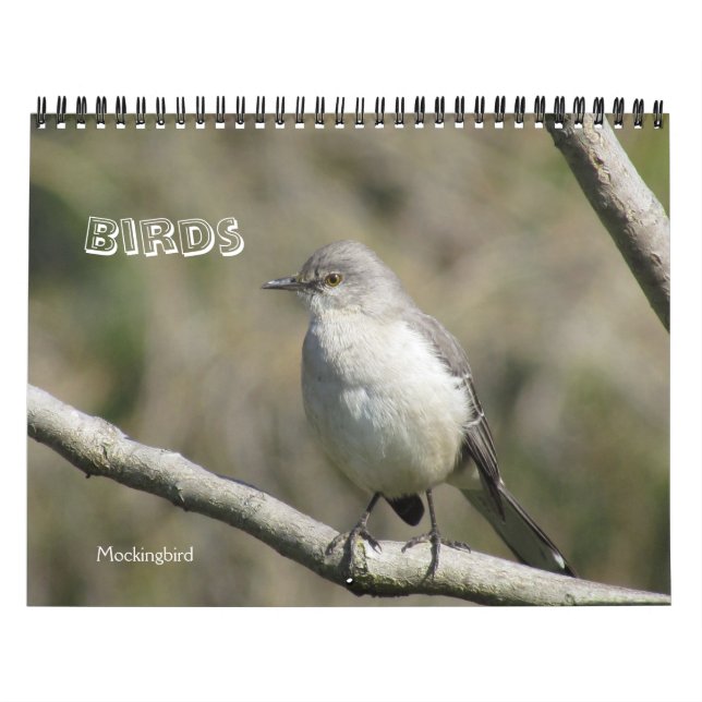 Kalender - Vögel (große Daten) (Titelbild)