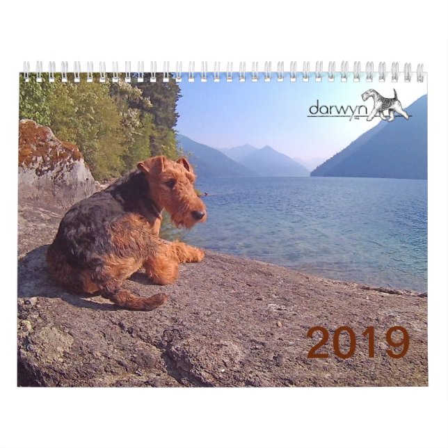 Kalender Walisers Terrier (Titelbild)