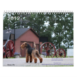 Kalender Walisers Terrier 2012 durch Darwyn