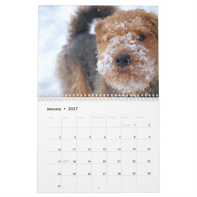 Kalender Walisers Terrier 2012 durch Darwyn (Jan 2027)