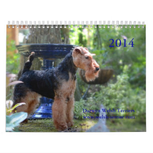 Kalender Walisers Terrier 2014 durch Darwyn