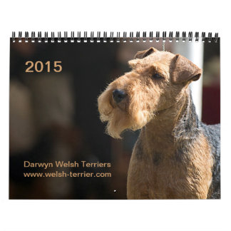Kalender Walisers Terrier 2015 durch Darwyn