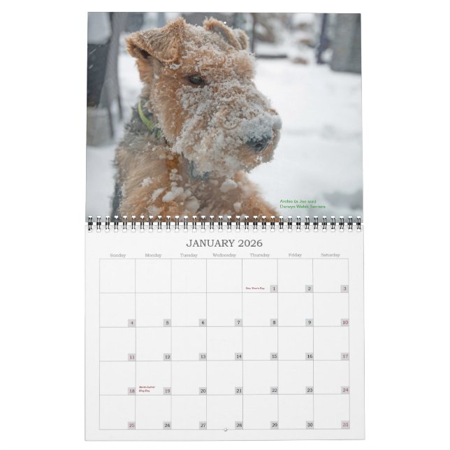 Kalender Walisers Terrier 2015 durch Darwyn (Jan 2026)