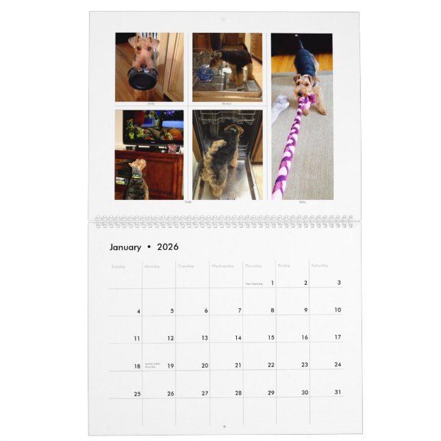 Kalender Walisers Terrier 2015 durch SBWT (Jan 2026)