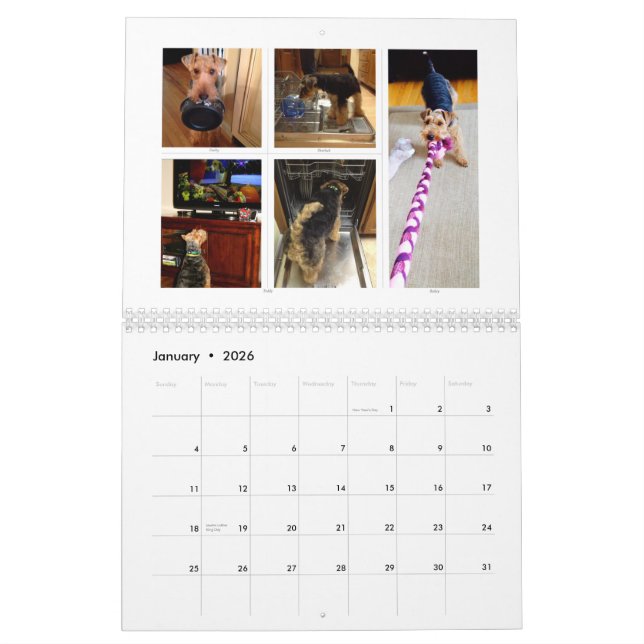 Kalender Walisers Terrier 2015 durch SBWT (Jan 2026)