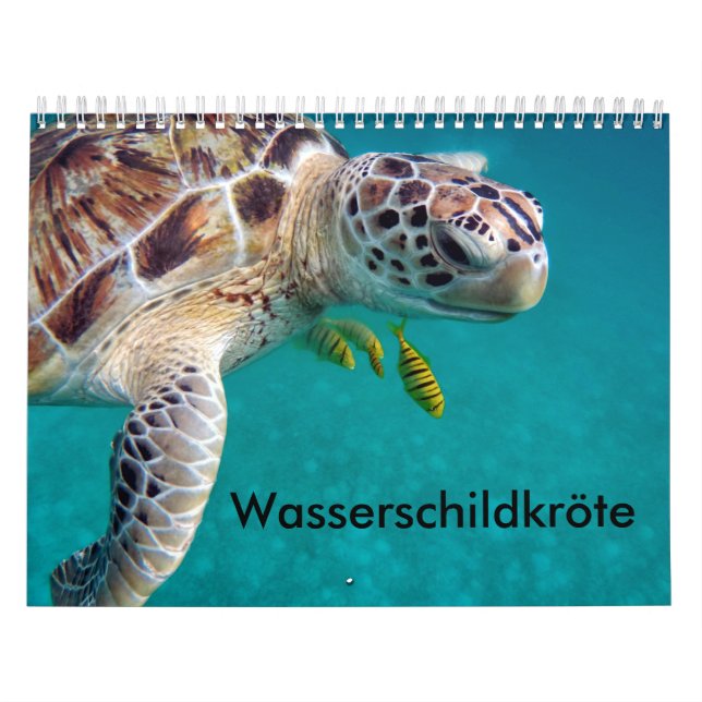 Kalender-Wasserschildkröten Kalender (Titelbild)