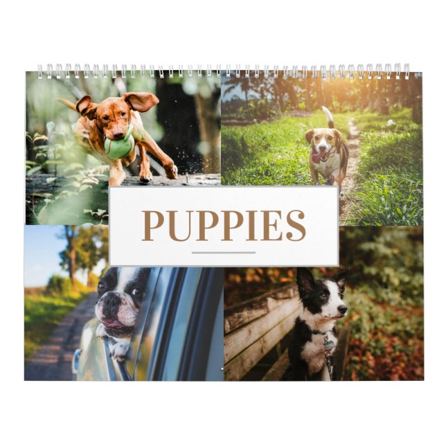Kalender Welpenkalender Zuhause Wall Dog (Titelbild)