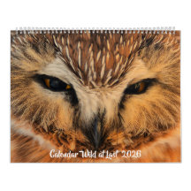 Kalender 'Wild at Last' 2026