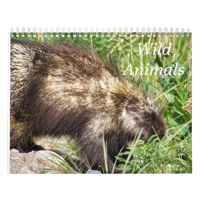 Kalender wild lebender Tiere (Titelbild)