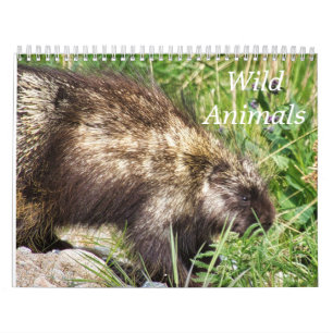 Kalender wild lebender Tiere
