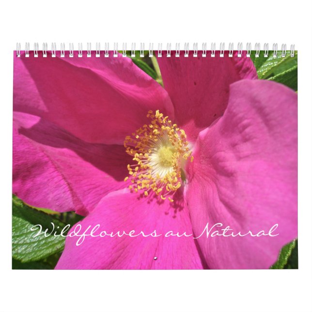 Kalender - Wildblumen (Titelbild)