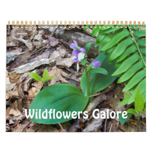 Kalender ~ Wildblumen Galore