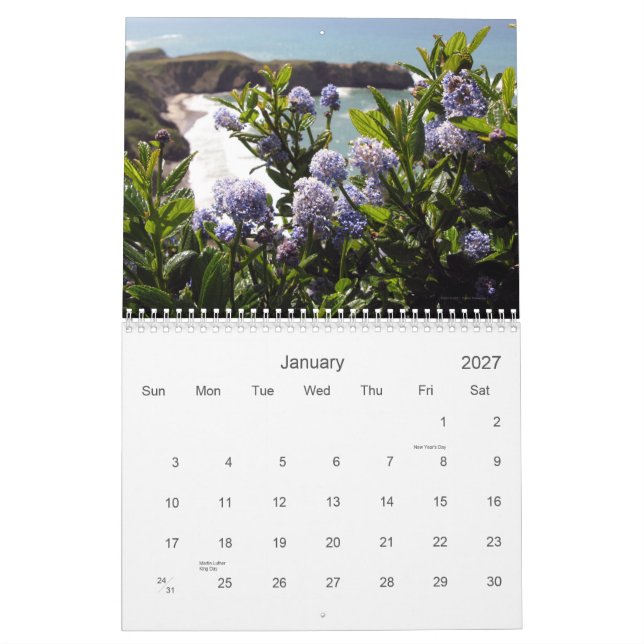 Kalender WildblumeVistas 2012 (Jan 2027)