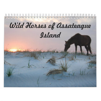 Kalender, Wilde Pferde auf der Insel Assateague Kalender
