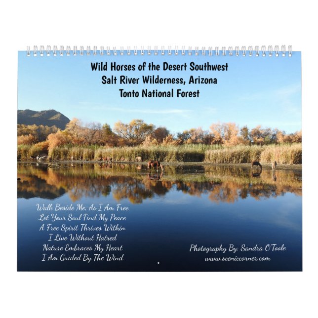Kalender, wilde Pferde, Salt River, Arizona Kalender (Titelbild)