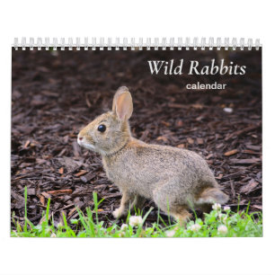 Kalender wilder Kaninchen