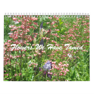 Kalender - Wir haben gezähmt Blume