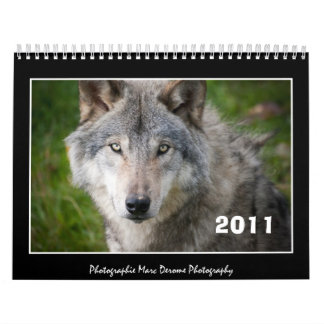 Kalender, Wolf 2011 Kalender
