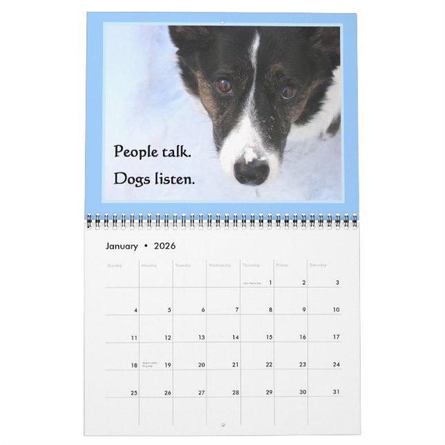 Kalender Wolljackecorgi-2015 (Jan 2026)